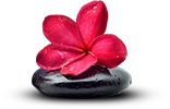 stone flower icon
